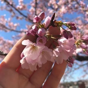 Meet your Posher, Stephanie